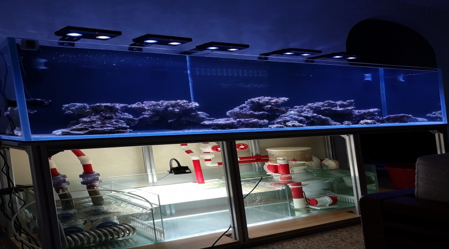 Aquarium Fish Tank with DC Water Pump ,Protein Skimmer 